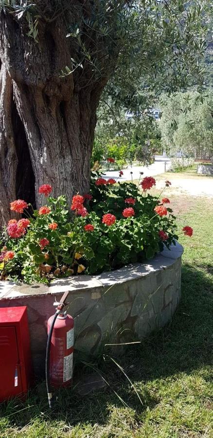 Hotel Maria Χρυσή Αμμουδιά Εξωτερικό φωτογραφία