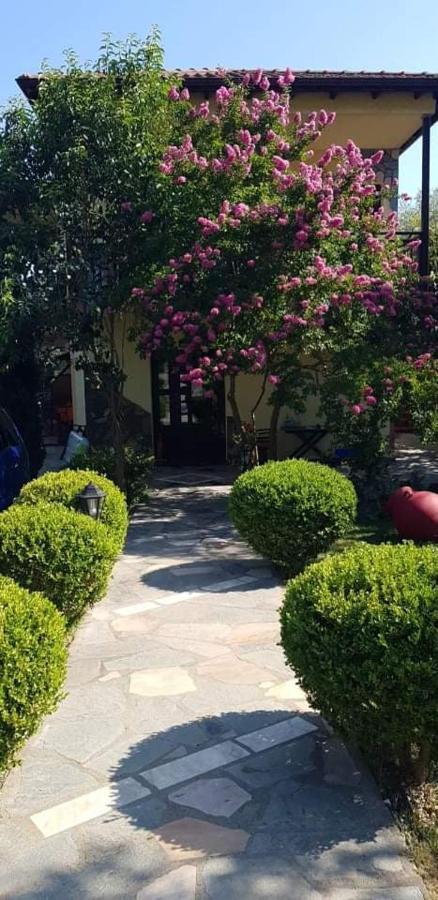 Hotel Maria Χρυσή Αμμουδιά Εξωτερικό φωτογραφία
