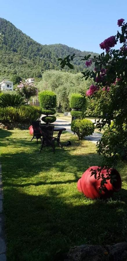 Hotel Maria Χρυσή Αμμουδιά Εξωτερικό φωτογραφία
