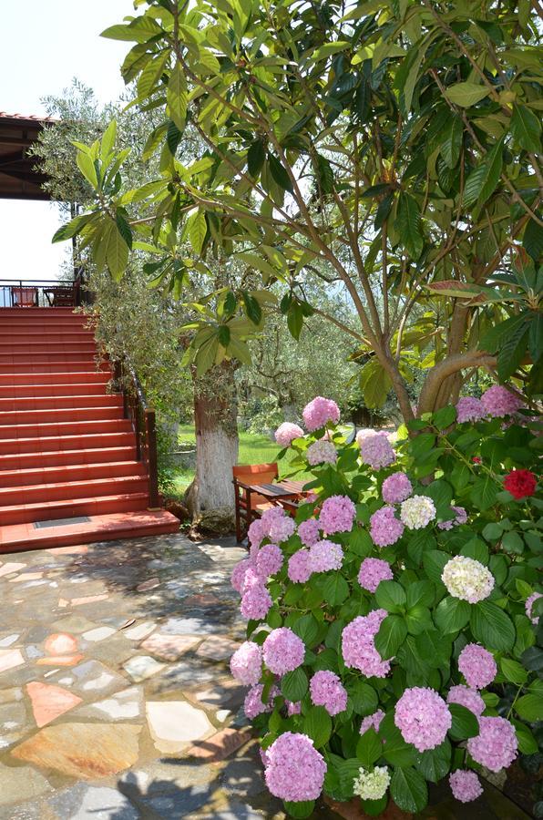 Hotel Maria Χρυσή Αμμουδιά Εξωτερικό φωτογραφία
