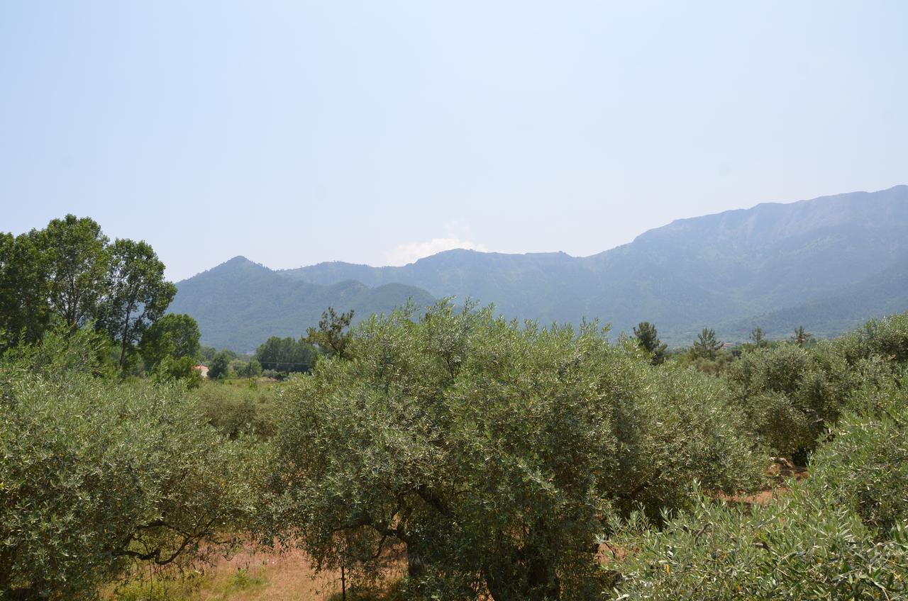 Hotel Maria Χρυσή Αμμουδιά Εξωτερικό φωτογραφία